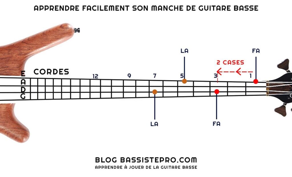 Apprendre facilement son manche de guitare basse [ASTUCES]