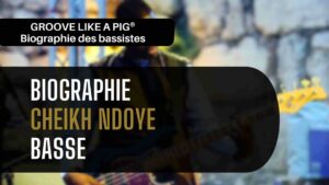 biographie-cheikh-ndoye