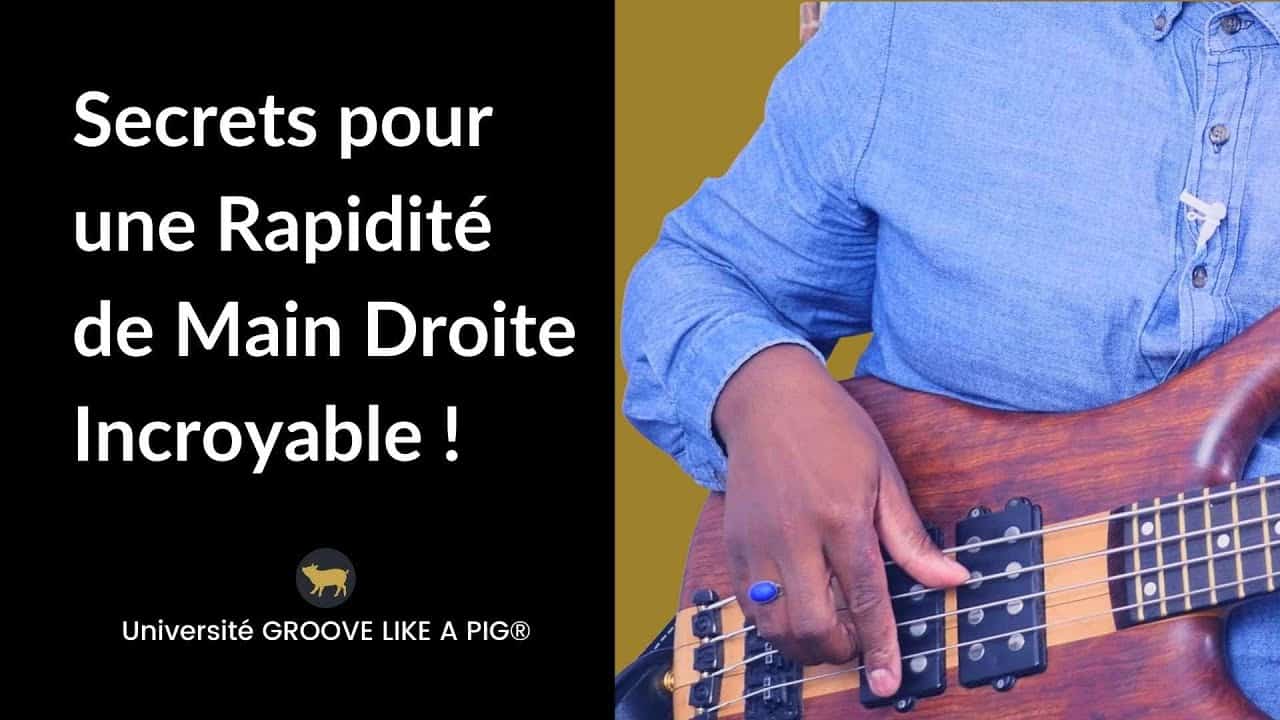 Mécaniques Ouvertes Pour Basse 4 Cordes - Main Droite - Accordeur Stable Précision - Boutons Fleur De Prunier